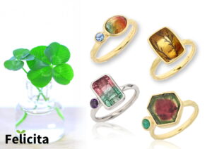 シリーズフェリッチッタ2