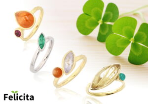 シリーズフェリッチッタ3