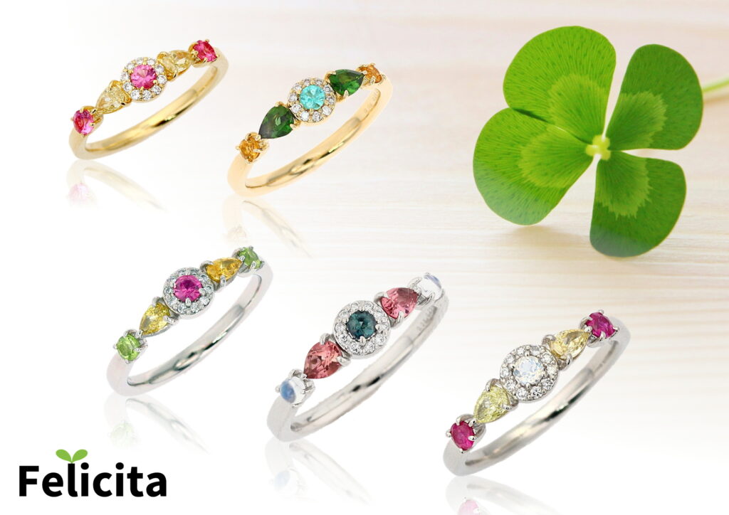 シリーズフェリッチッタ5