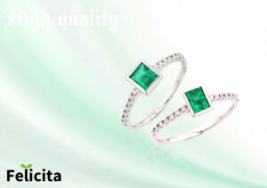 シリーズフェリッチッタ6