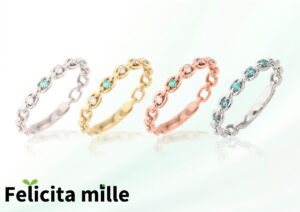 シリーズフェリッチッタミル2